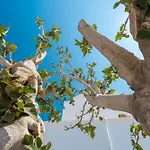 Lejlighed Coastal Escape - 2 Min From *