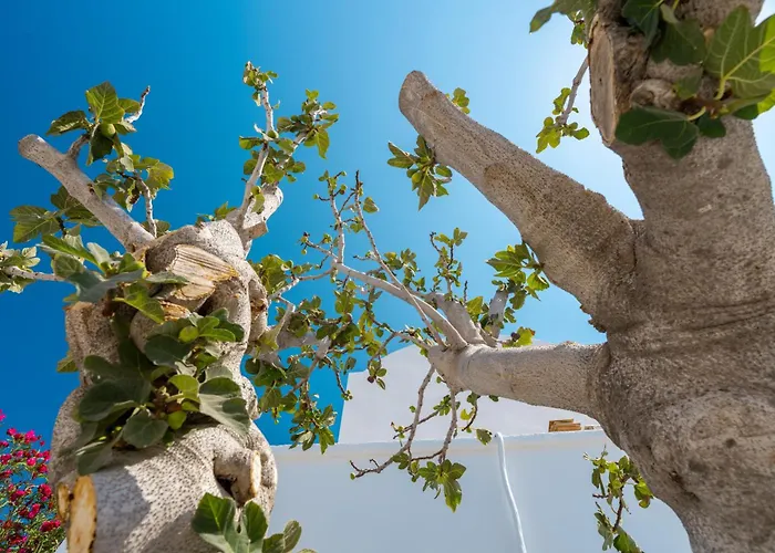 Lägenhet Coastal Escape *