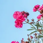 Coastal Escape - 2 Min From